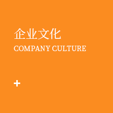 文化